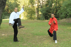 Cours de Tao Qi gong en extérieur à Montpellier